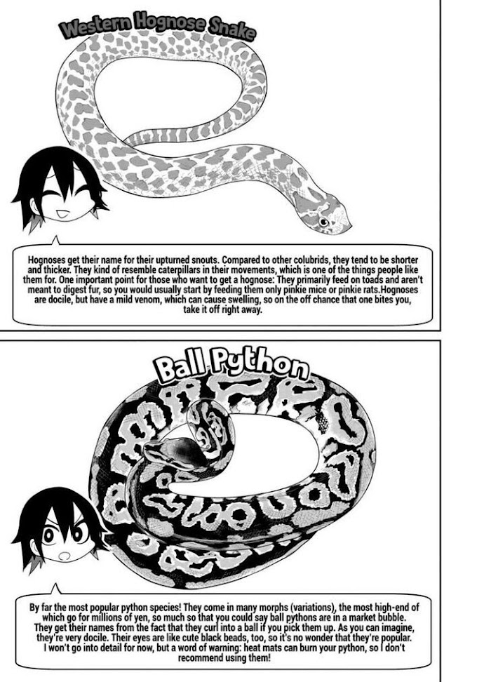 Secret Reptiles - Chapter 23