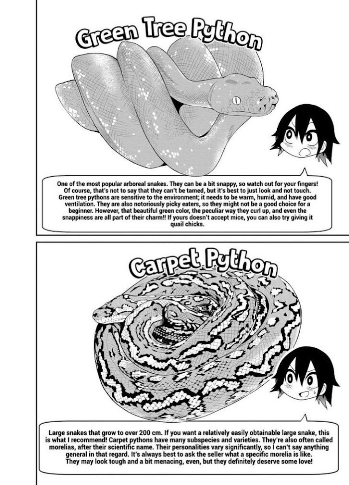 Secret Reptiles - Chapter 23