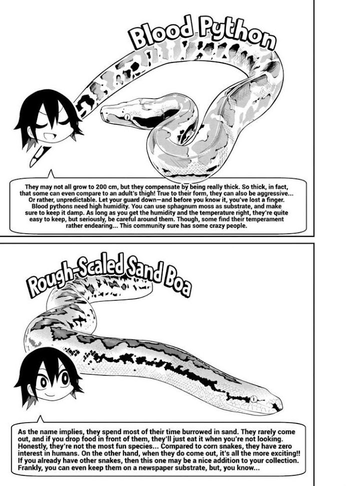 Secret Reptiles - Chapter 23