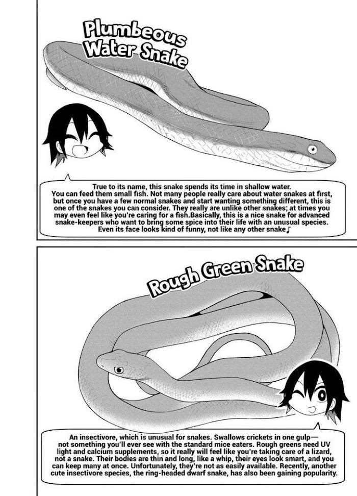 Secret Reptiles - Chapter 23