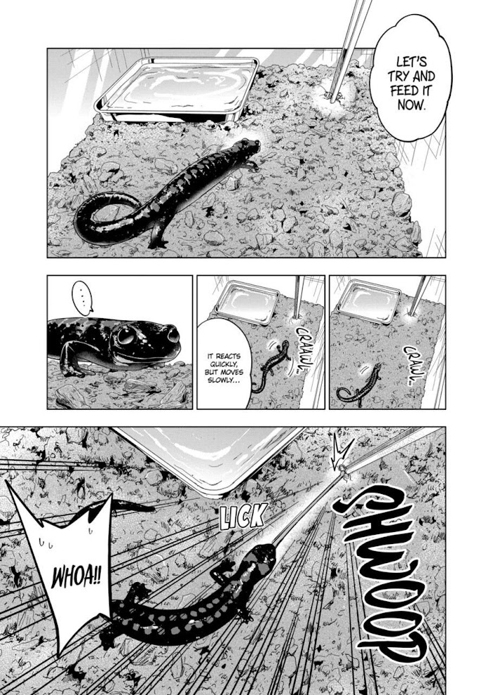 Secret Reptiles - Chapter 101