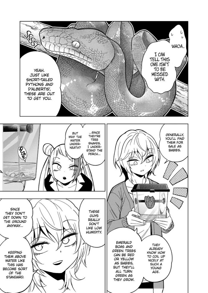 Secret Reptiles - Chapter 113