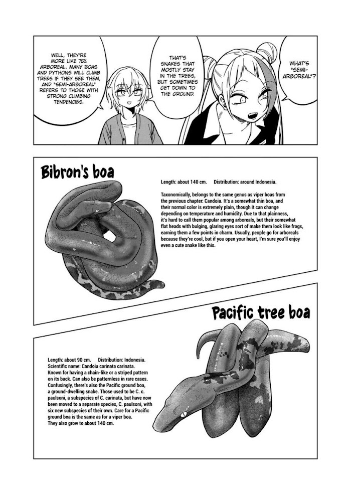 Secret Reptiles - Chapter 113