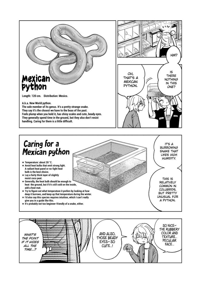 Secret Reptiles - Chapter 113