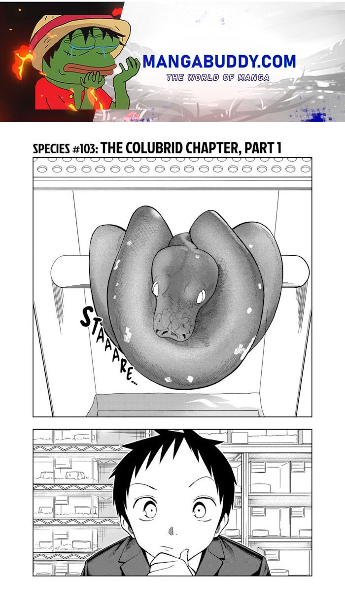 Secret Reptiles - Chapter 103