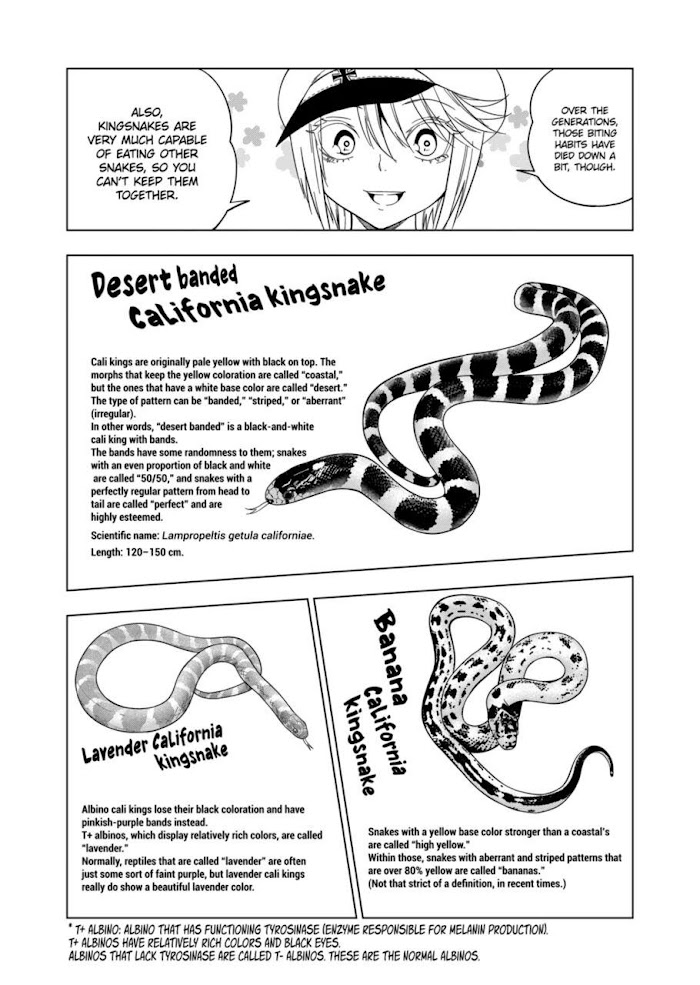 Secret Reptiles - Chapter 103