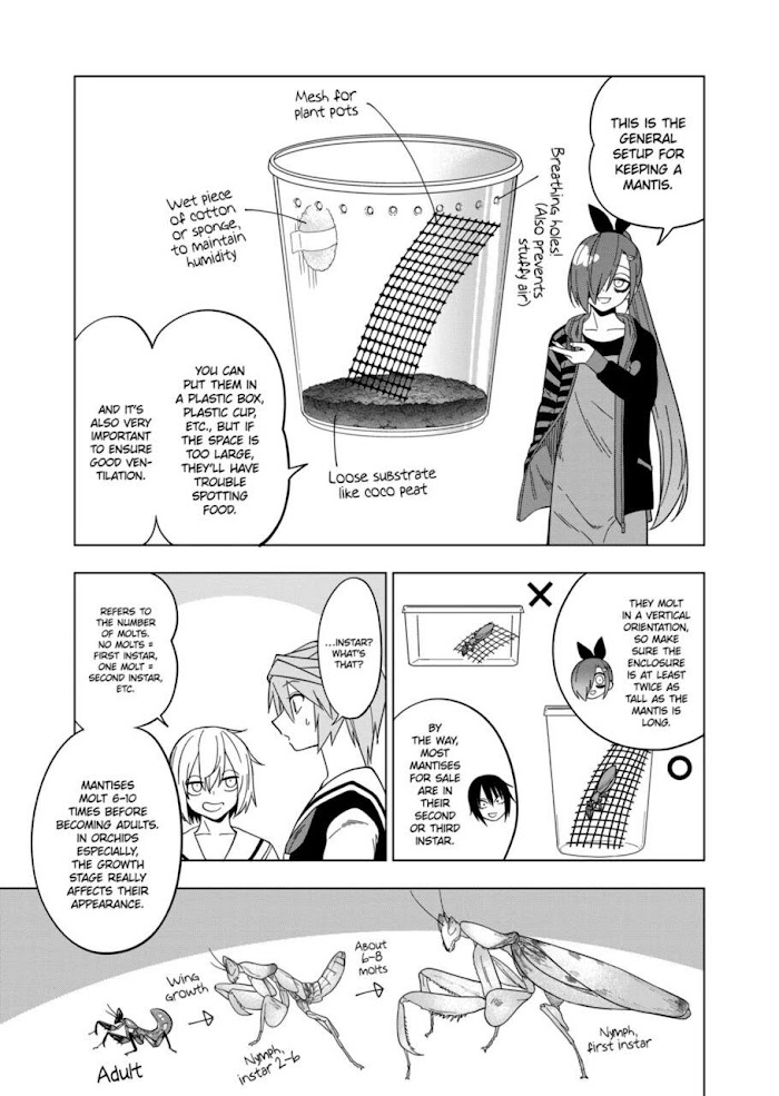 Secret Reptiles - Chapter 107