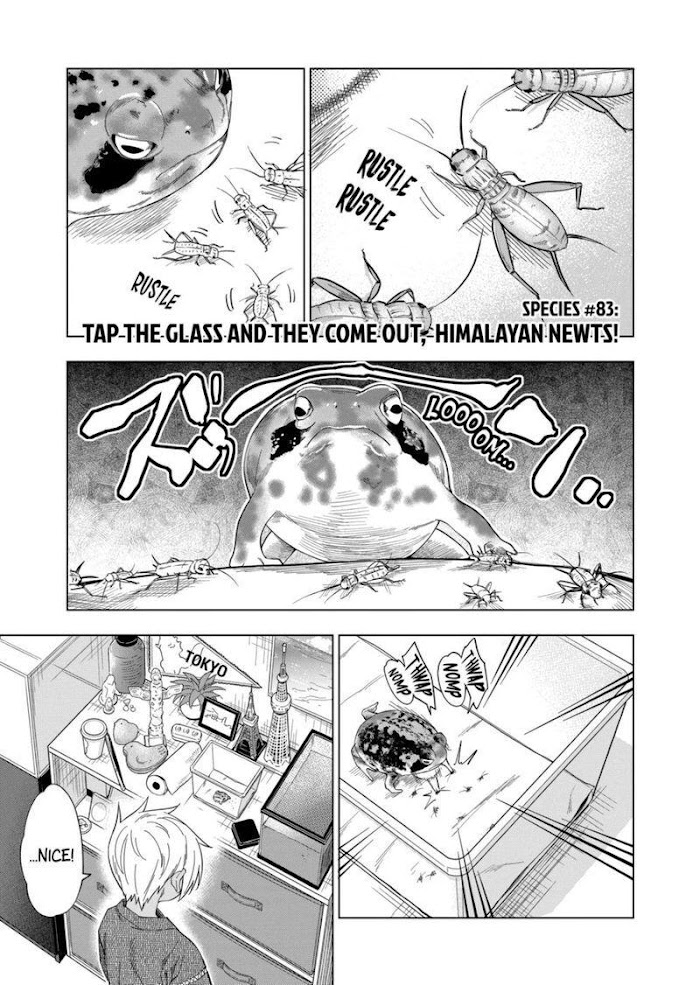 Secret Reptiles - Chapter 83