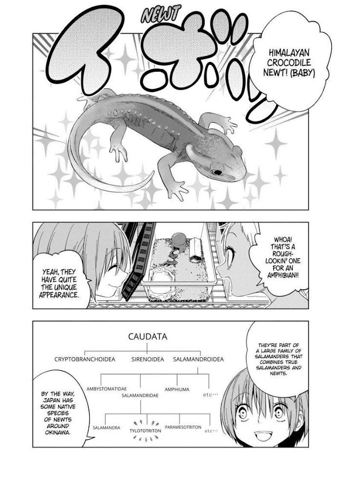 Secret Reptiles - Chapter 83