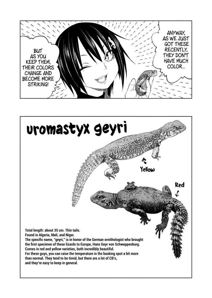 Secret Reptiles - Chapter 98