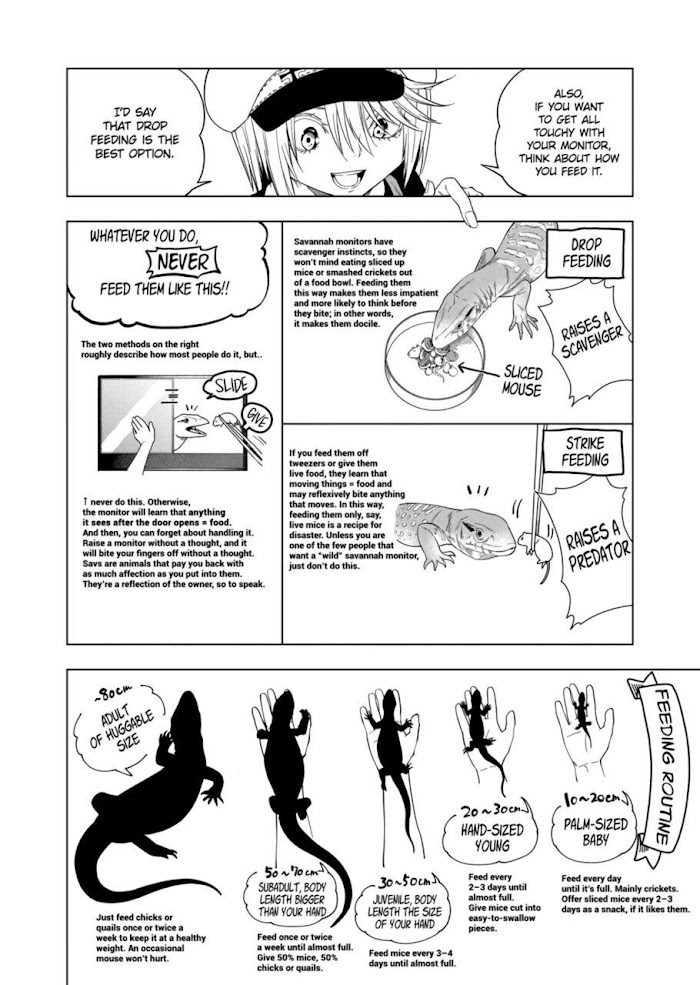 Secret Reptiles - Chapter 87