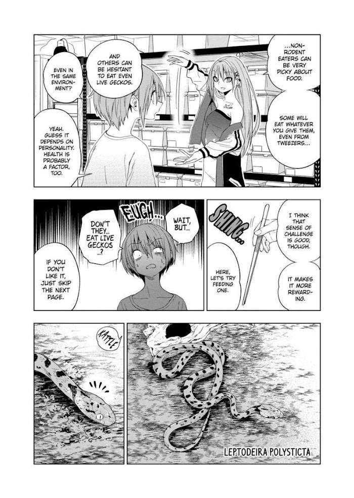 Secret Reptiles - Chapter 72