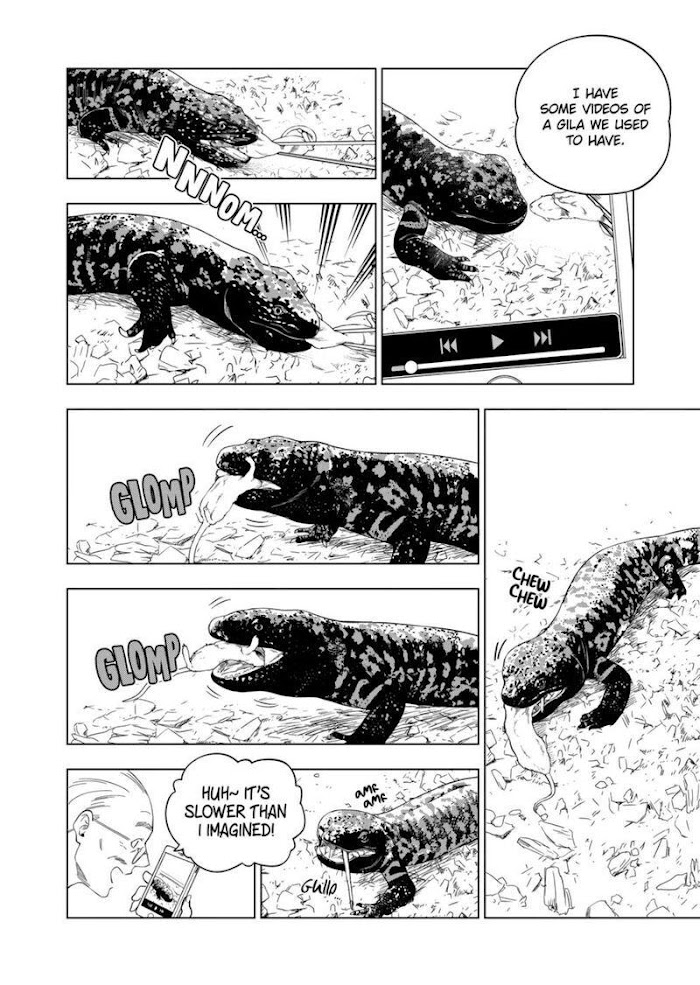 Secret Reptiles - Chapter 80