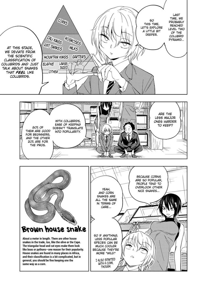 Secret Reptiles - Chapter 104