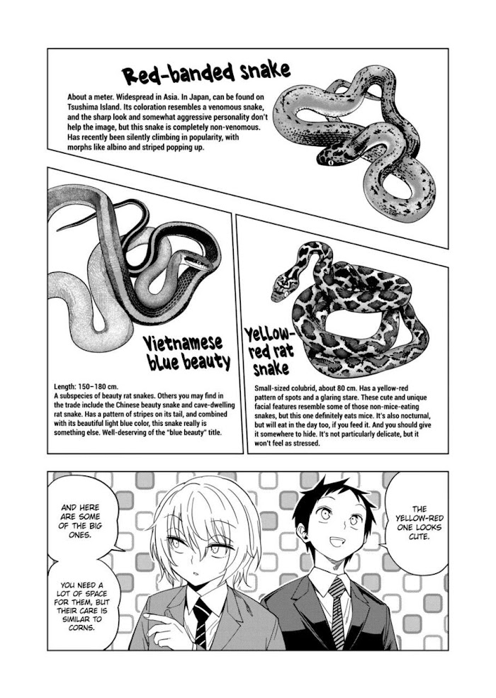 Secret Reptiles - Chapter 104