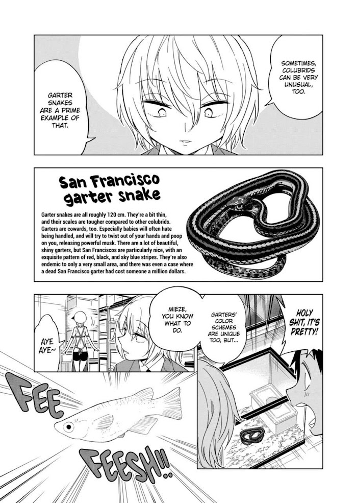 Secret Reptiles - Chapter 104