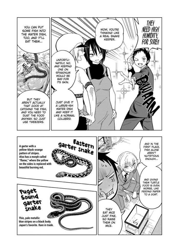 Secret Reptiles - Chapter 104