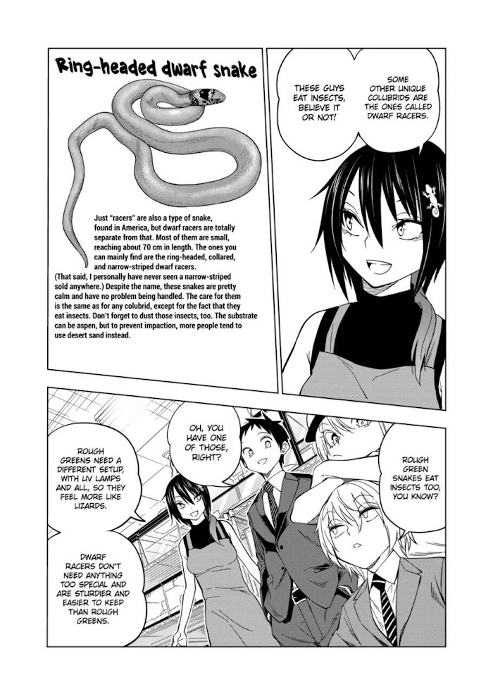 Secret Reptiles - Chapter 104