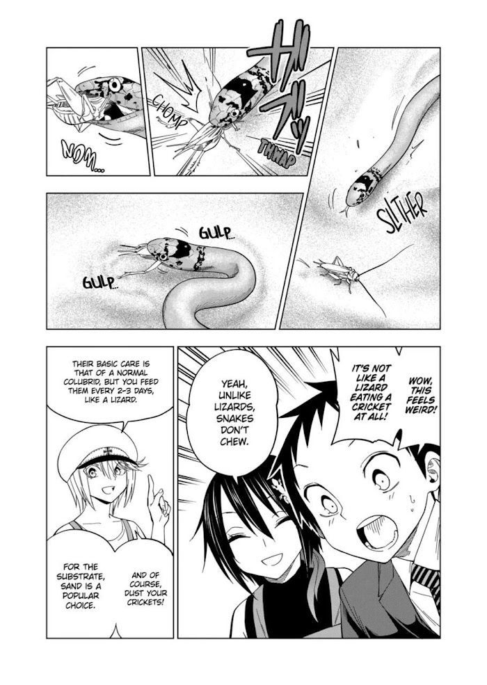 Secret Reptiles - Chapter 104