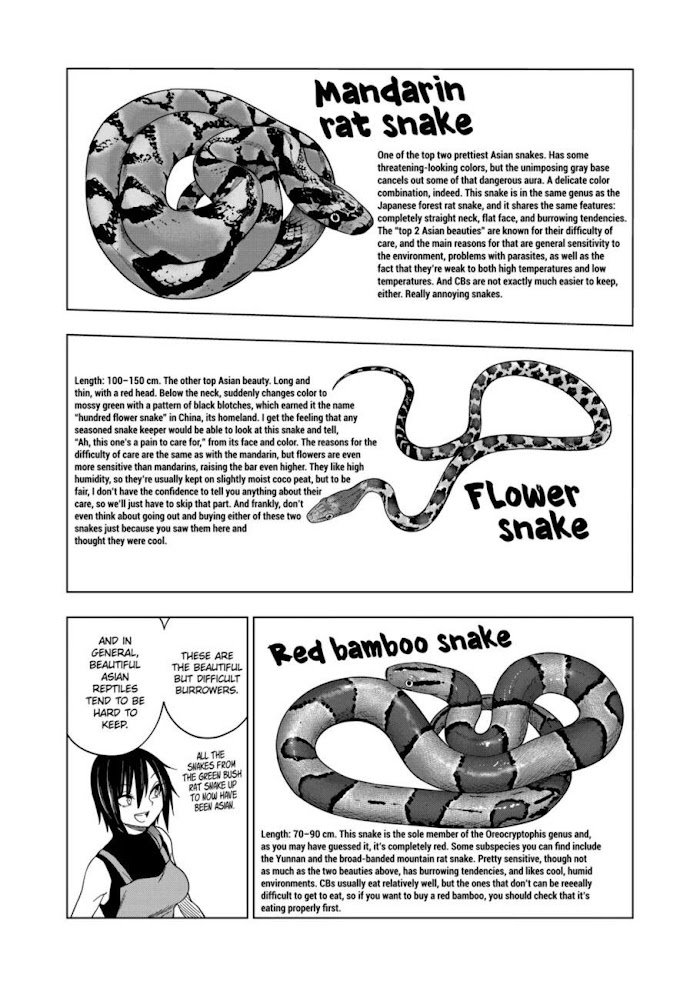 Secret Reptiles - Chapter 104