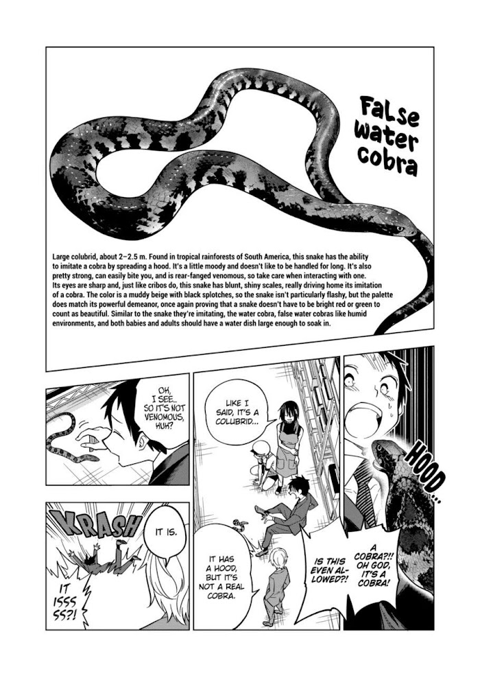 Secret Reptiles - Chapter 104