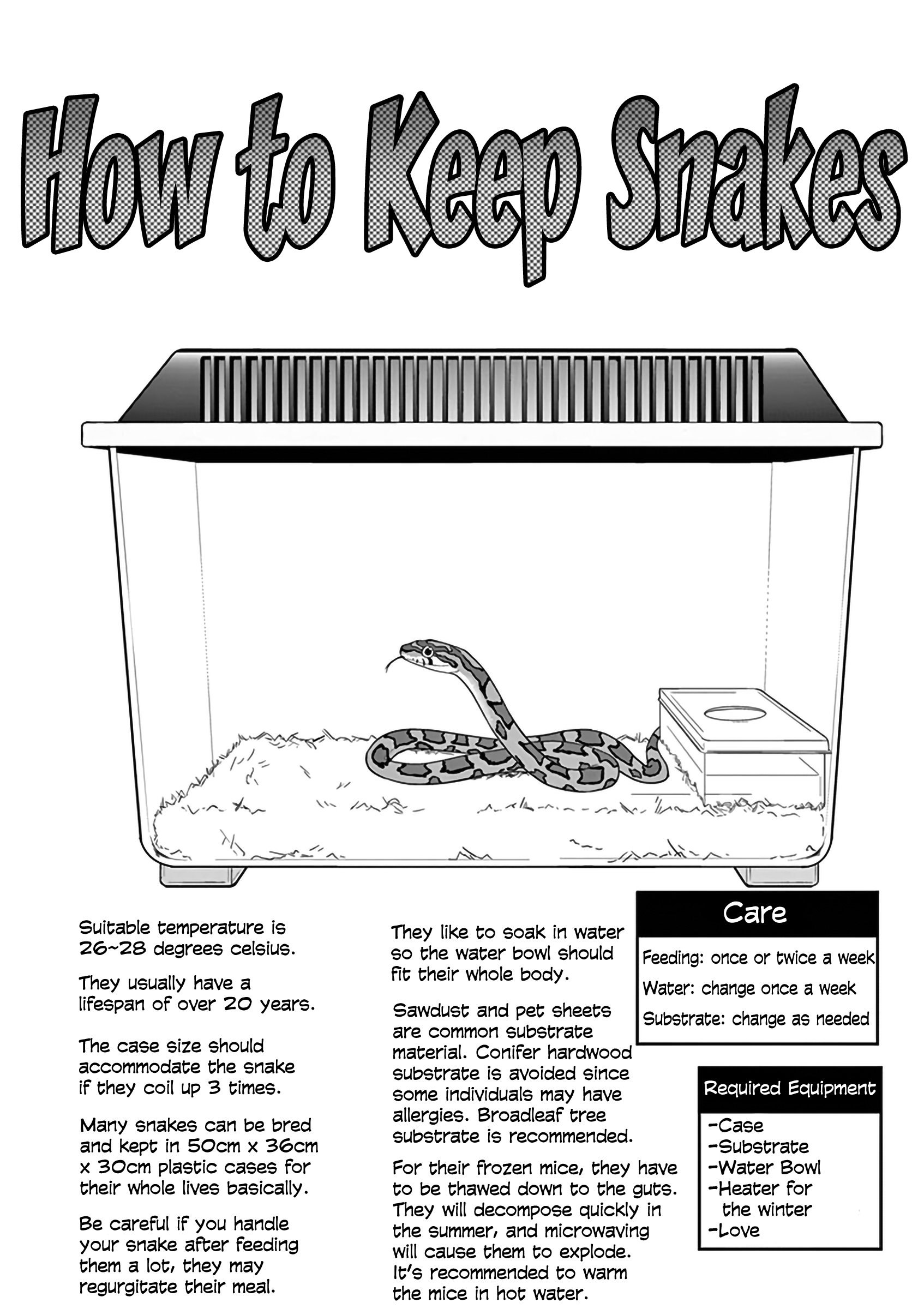 Secret Reptiles - Vol.2 Chapter 11: Species #11 - Since I Can’t Take The World's Time...snakes Raising Snakes?!