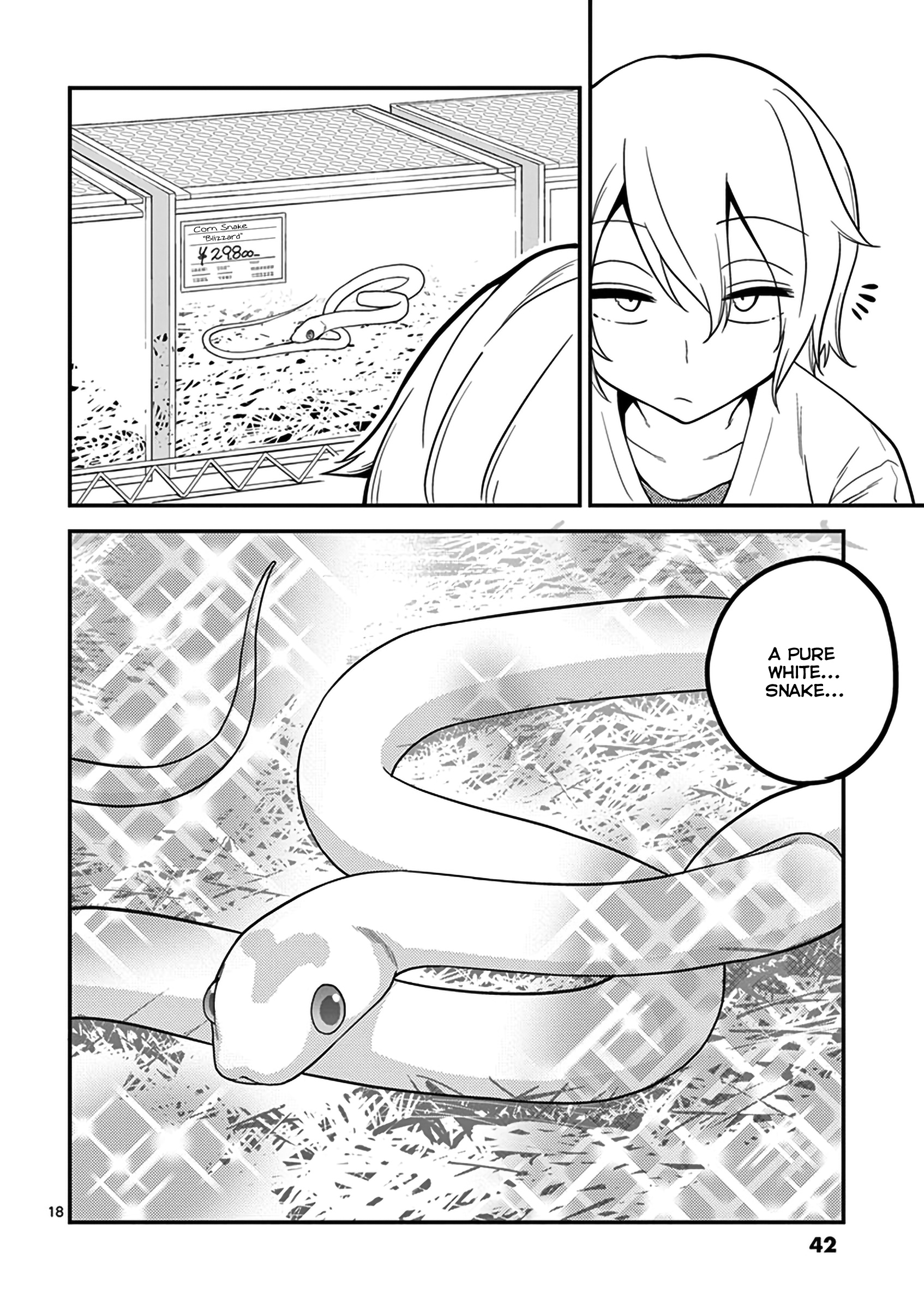 Secret Reptiles - Vol.2 Chapter 11: Species #11 - Since I Can’t Take The World's Time...snakes Raising Snakes?!