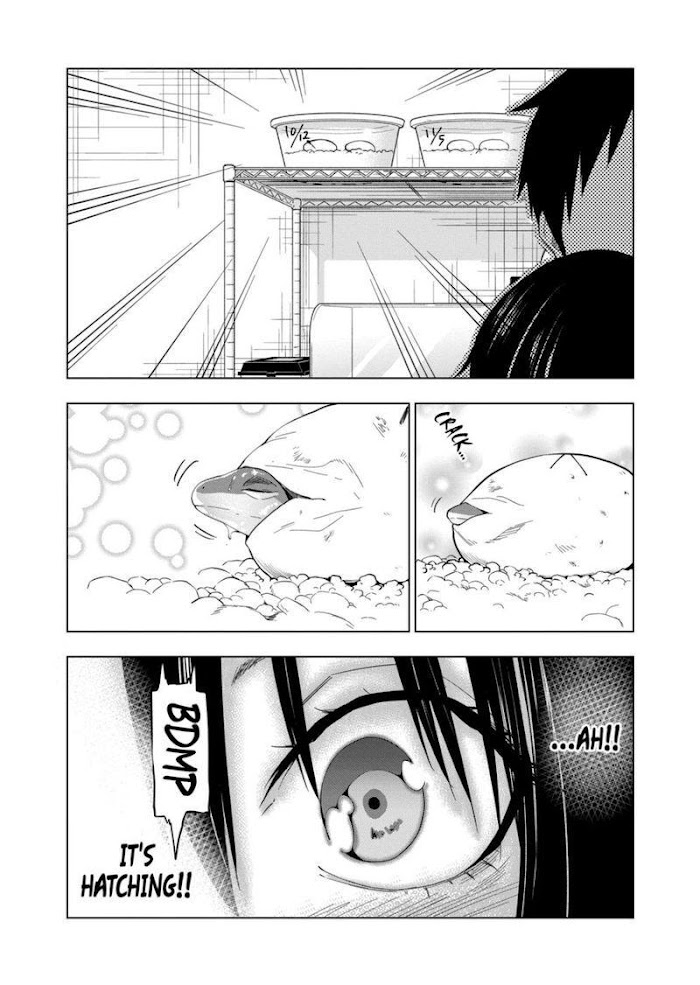 Secret Reptiles - Chapter 75