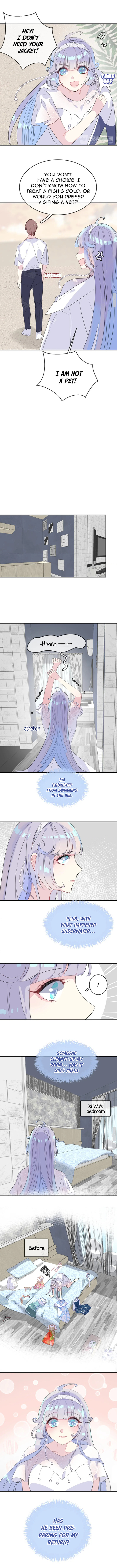 The Mermaid Wears A Dress - Chapter 17