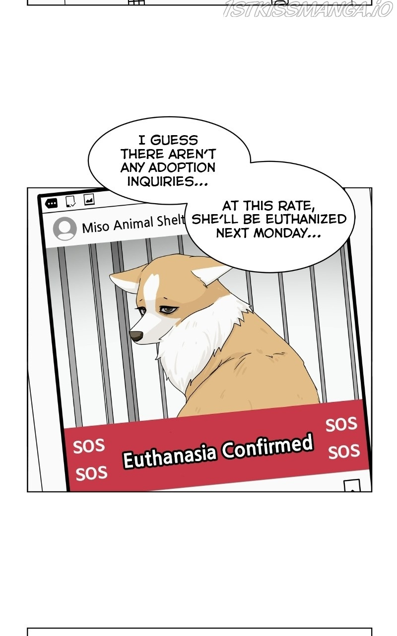 The Dog Diaries - Chapter 78