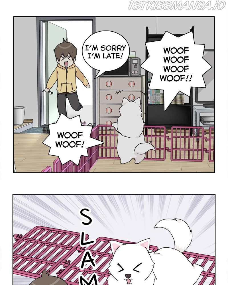 The Dog Diaries - Chapter 49