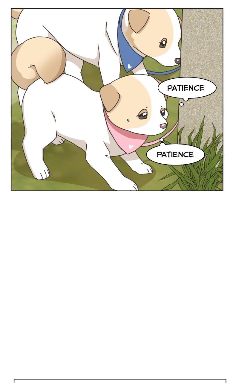 The Dog Diaries - Chapter 85