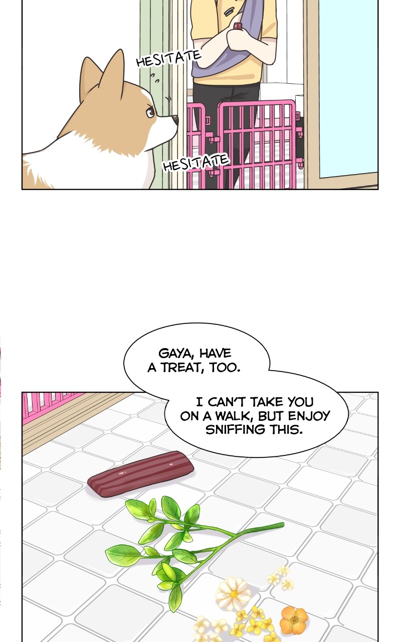 The Dog Diaries - Chapter 88