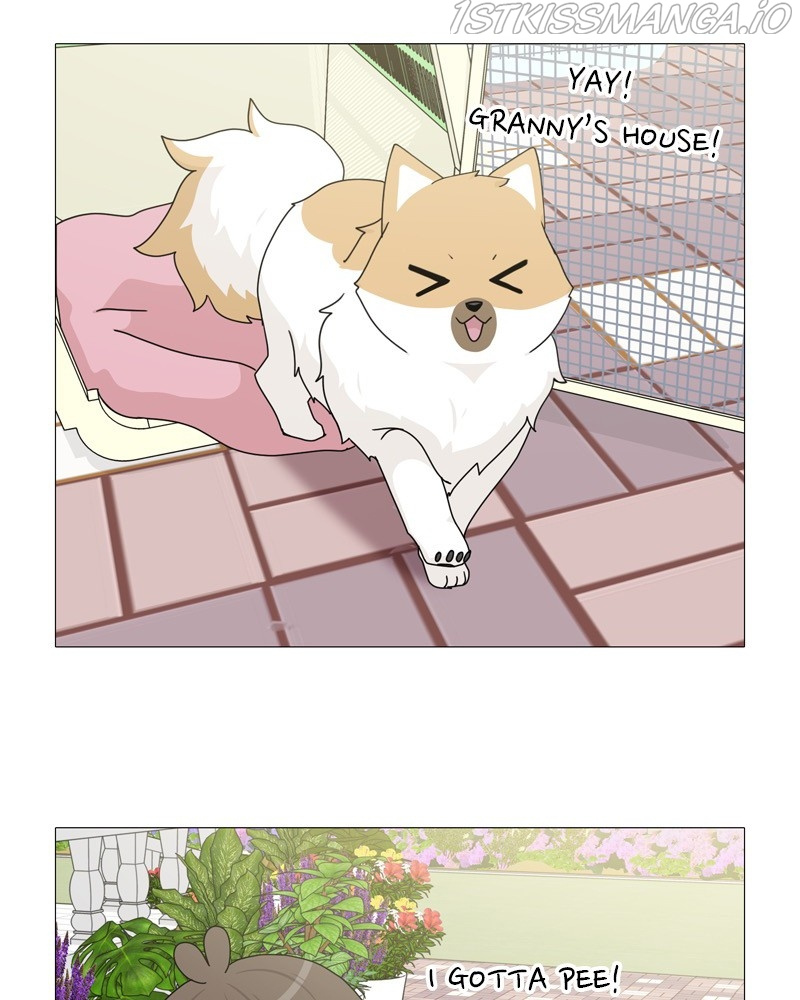 The Dog Diaries - Chapter 51