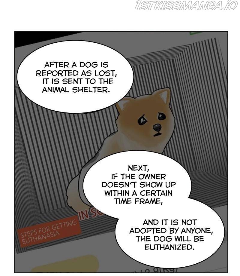 The Dog Diaries - Chapter 27