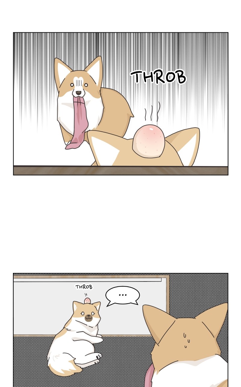 The Dog Diaries - Chapter 92