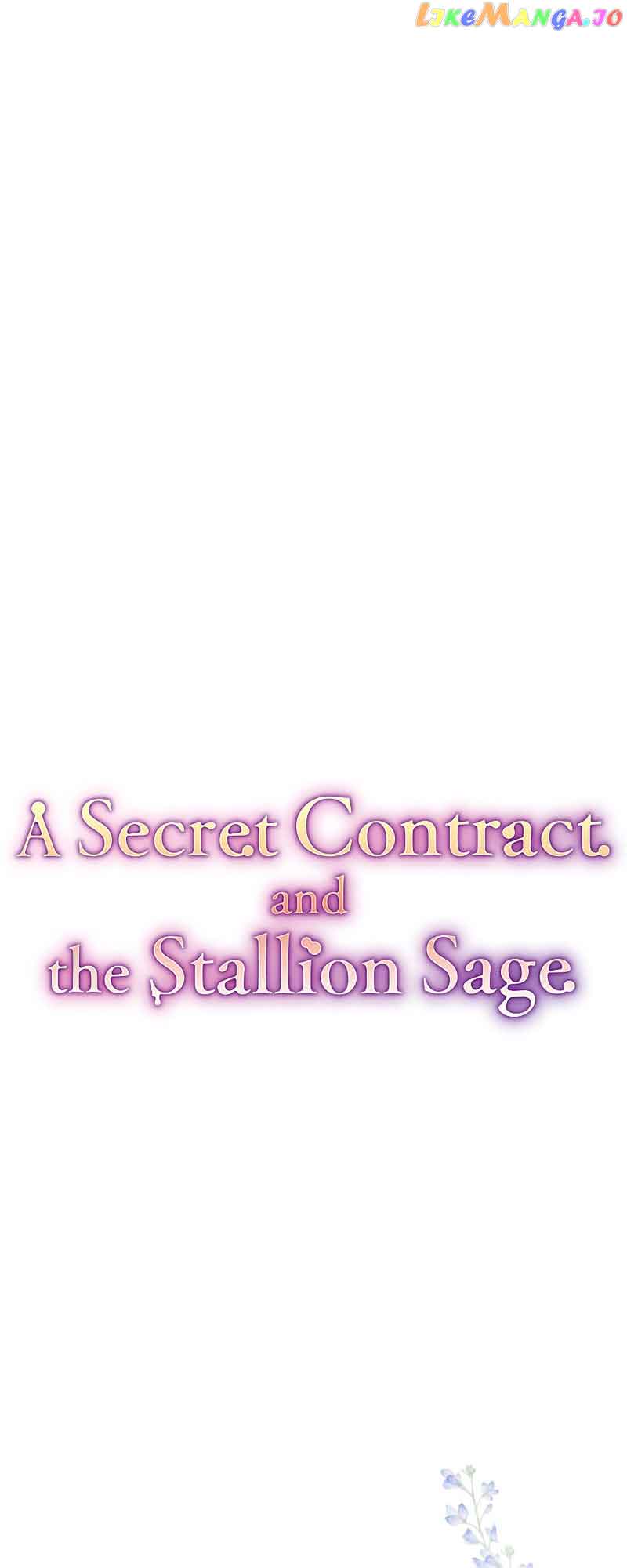 A Secret Contract And The Stallion Sage - Chapter 5