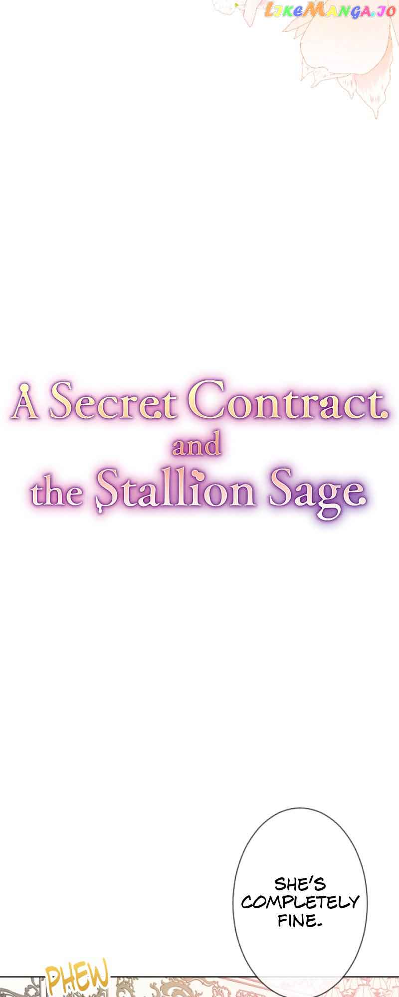 A Secret Contract And The Stallion Sage - Chapter 16