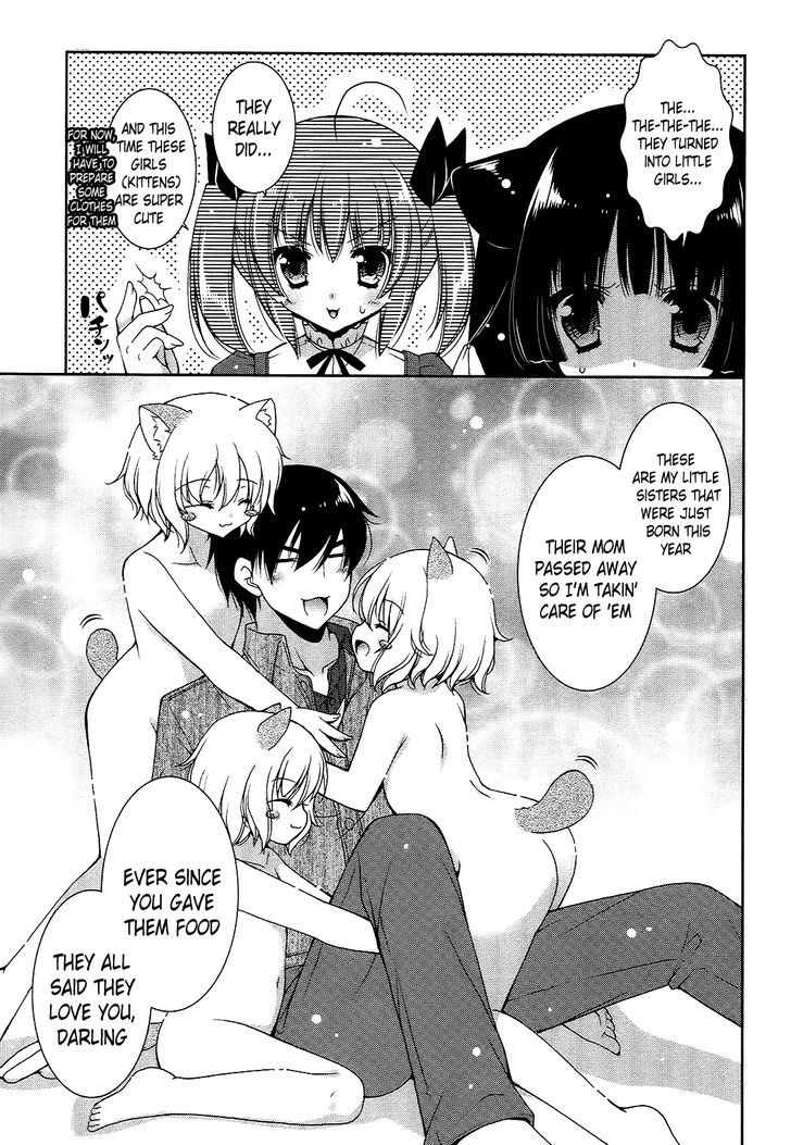 Nyatto! - Vol.3 Chapter 18 : Cat Days