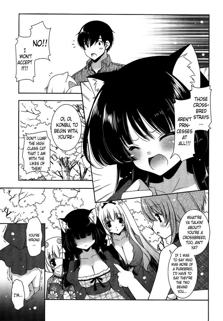 Nyatto! - Vol.3 Chapter 18 : Cat Days