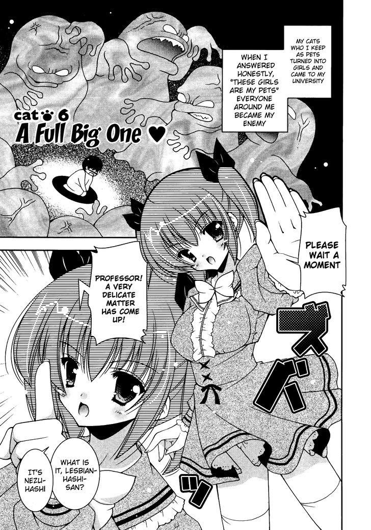 Nyatto! - Vol.1 Chapter 6 : A Full Big One