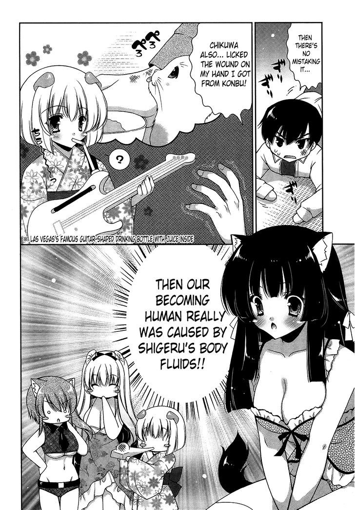 Nyatto! - Vol.3 Chapter 17 : Yes! Hooray For Life As A Cat!