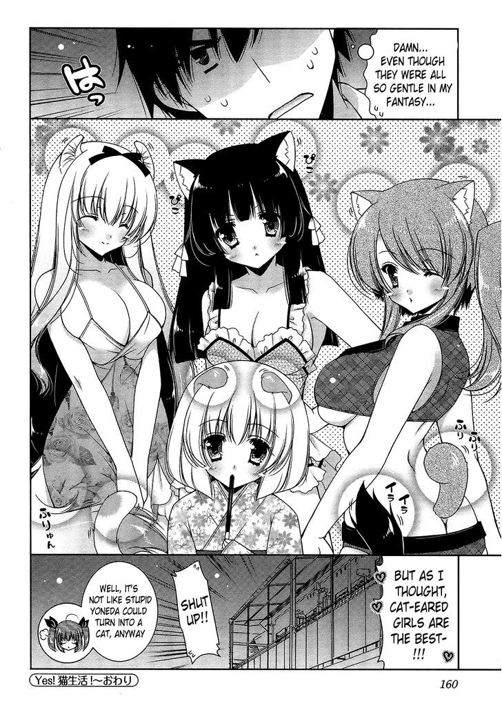 Nyatto! - Vol.3 Chapter 17 : Yes! Hooray For Life As A Cat!