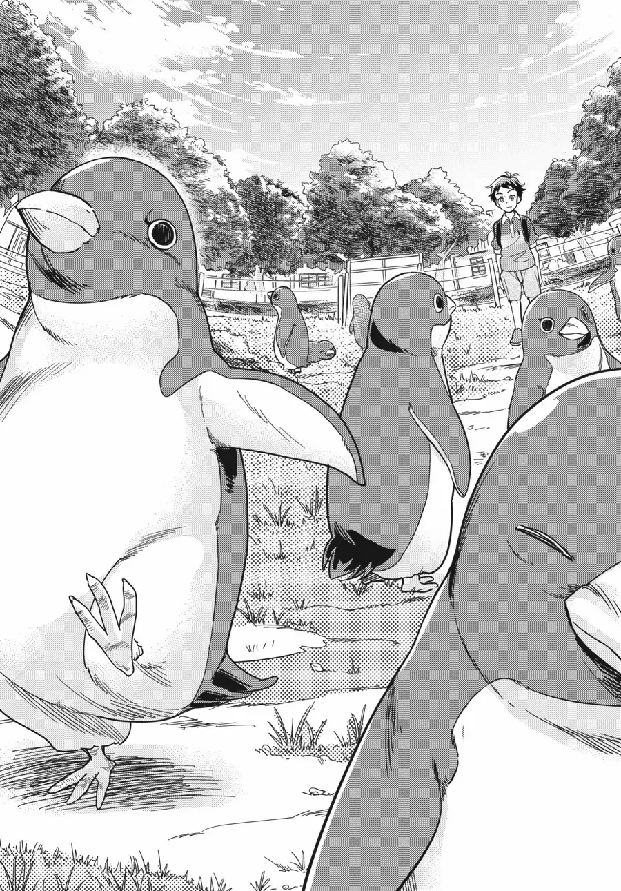 Penguin Highway - Chapter 1