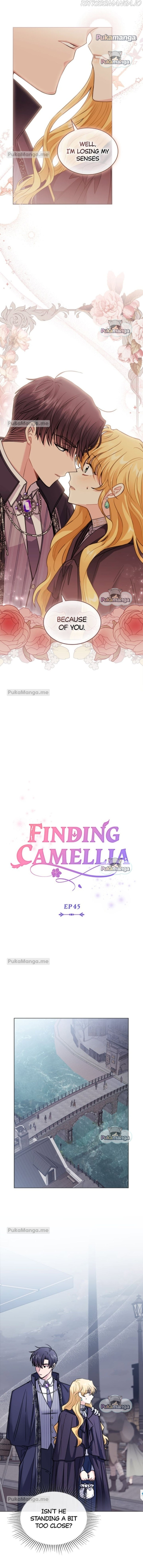 Finding Camellia - Chapter 45