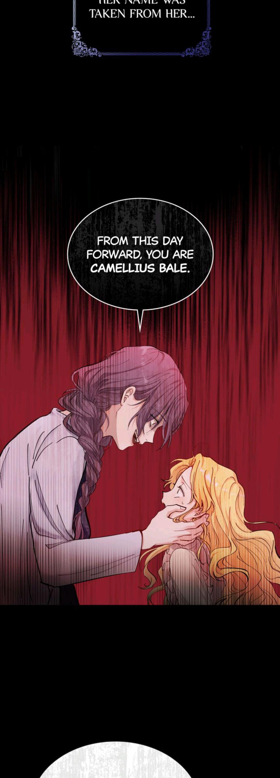 Finding Camellia - Chapter 0