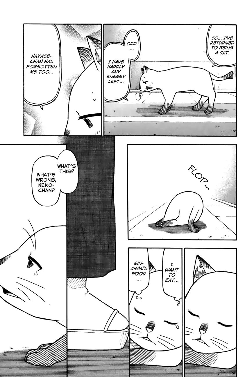 Neko Ane - Chapter 33: Illegitimate Child?