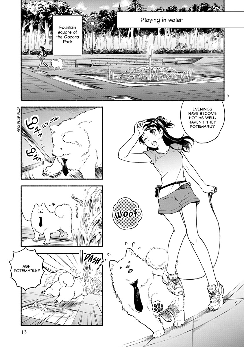 One-Room, Dog - Chapter 13: Summer Doggo