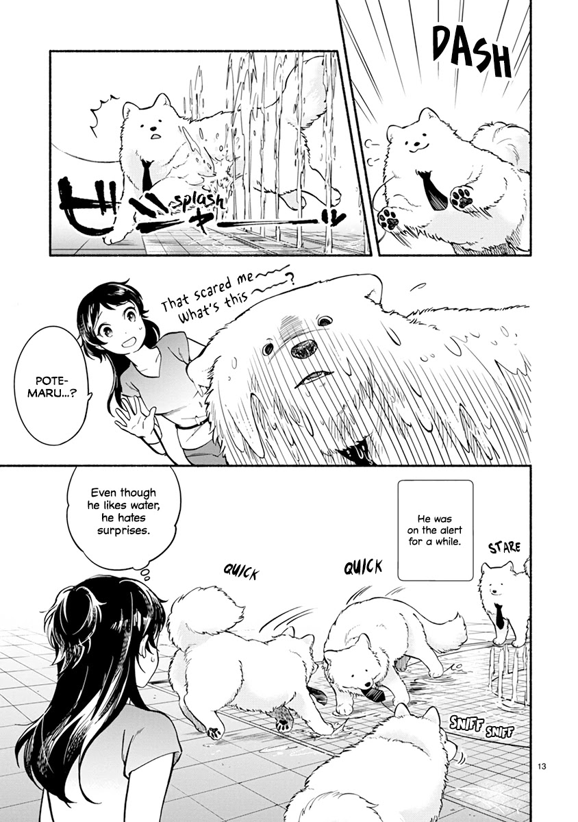 One-Room, Dog - Chapter 13: Summer Doggo