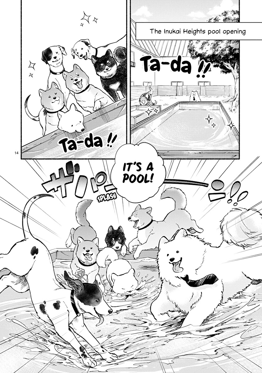 One-Room, Dog - Chapter 13: Summer Doggo